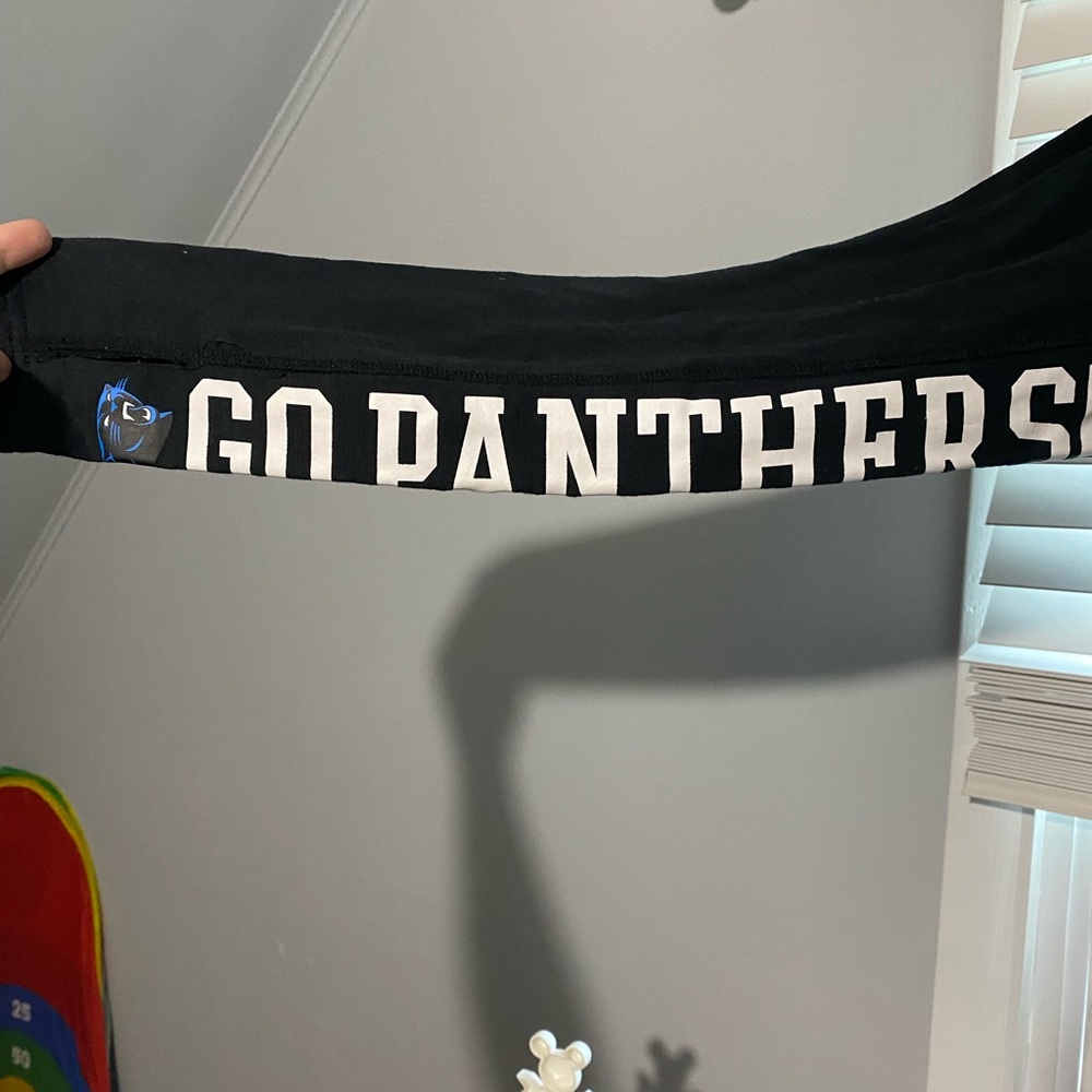 Panthers hoodie - Picture 2 of 6
